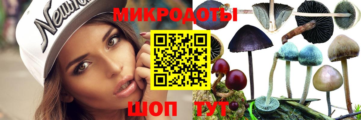 Верхняя Салда  Псилоцибиновые грибы Cubensis  Вход с VPN  Галлюциногенные грибы Magic Shrooms 